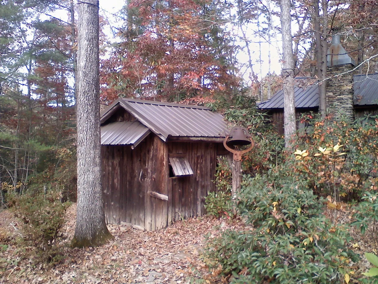 Small metal roof on a rough sawn shed in the woods in Truesdale